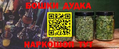 гашик Кимры