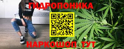 гашик Кимры