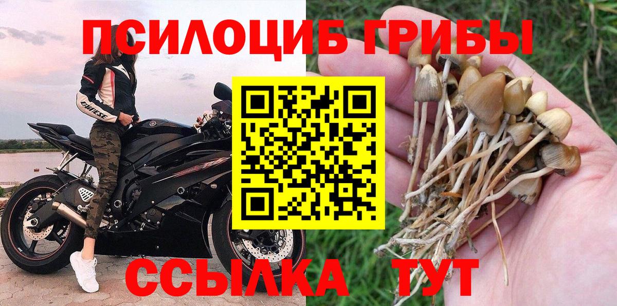 Псилоцибиновые грибы мицелий Шарыпово