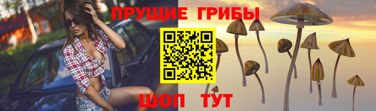 Шарыпово  Галлюциногенные грибы мухоморы  Вход с VPN 